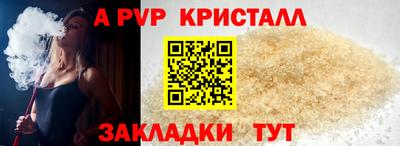 шишки Кингисепп