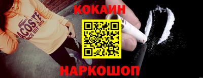 шишки Кингисепп
