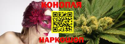 шишки Кингисепп