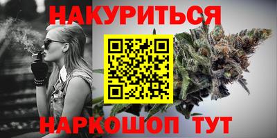 шишки Кингисепп