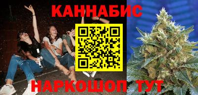 шишки Кингисепп