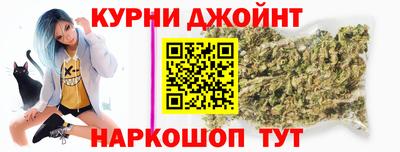 шишки Кингисепп