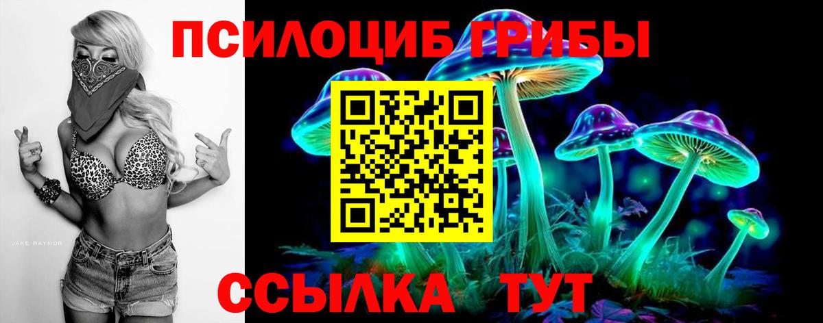Галлюциногенные грибы Psilocybine cubensis  Псилоцибиновые грибы Cubensis  Коряжма  Вход с VPN 